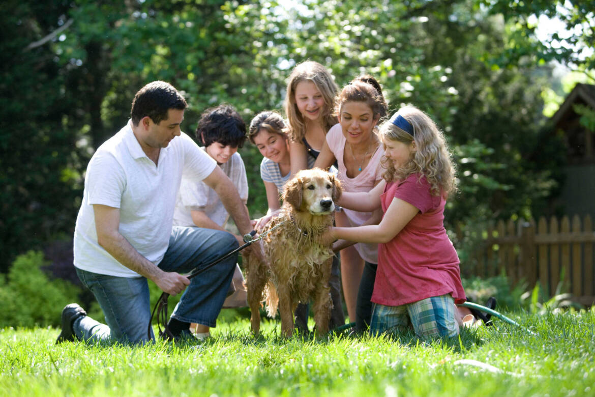 family_dog-bath-1-scaled.jpg